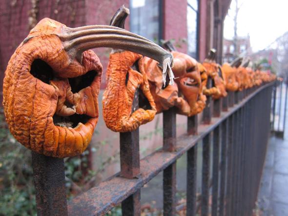 BOO: Religious beliefs play a role in some Jones students celebration of Halloween