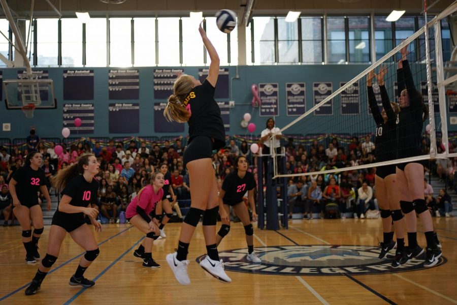Danielle Ouimet 21 spiking at the Dig Pink game last year. Story from Volume 6, Issue 1
