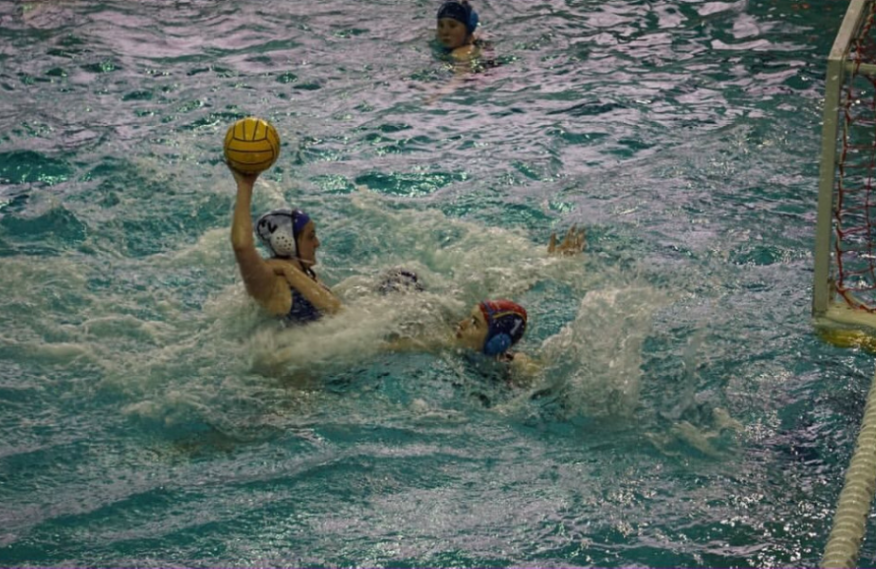 The world of water polo